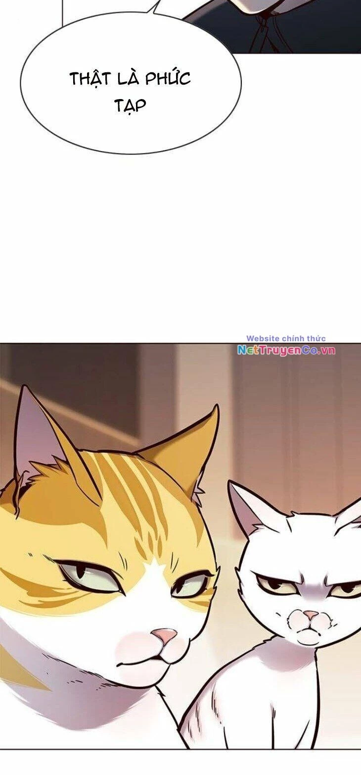 Cô Dâu Của Sói Trắng Chapter 146 - 51