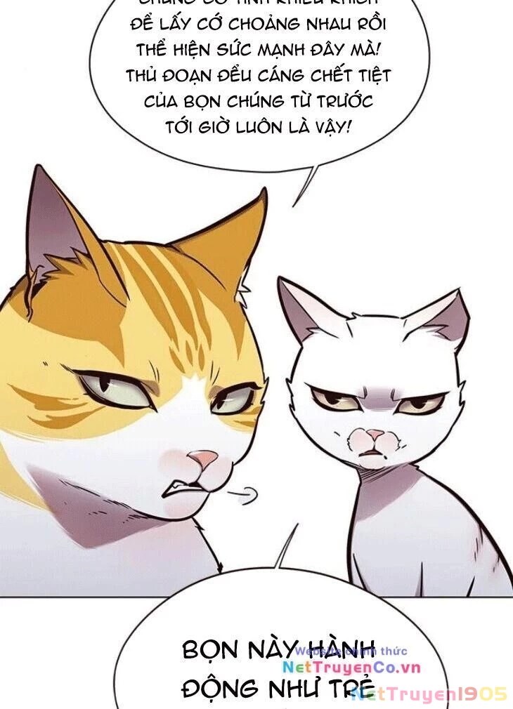 Cô Dâu Của Sói Trắng Chapter 148 - 4