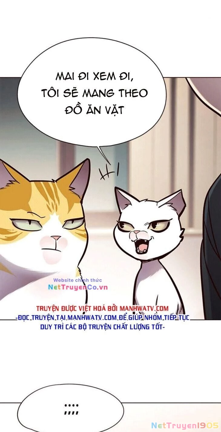 Cô Dâu Của Sói Trắng Chapter 148 - 16