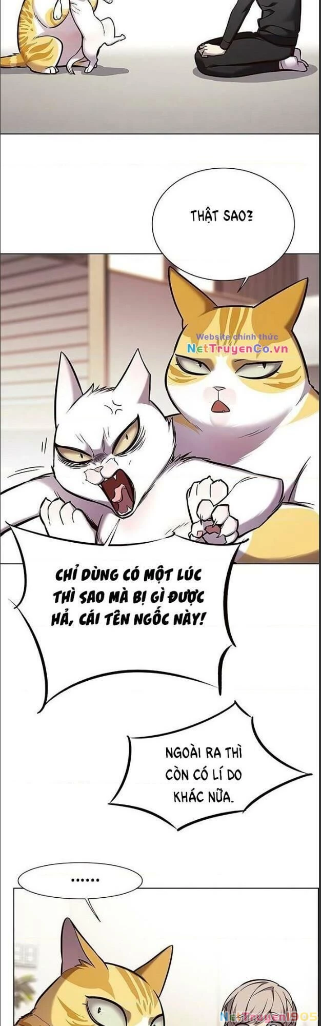 Cô Dâu Của Sói Trắng Chapter 156 - 4