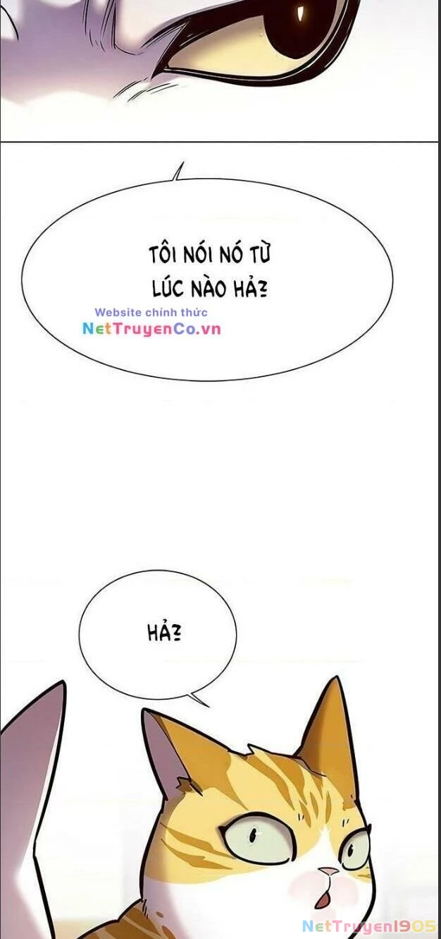 Cô Dâu Của Sói Trắng Chapter 156 - 16