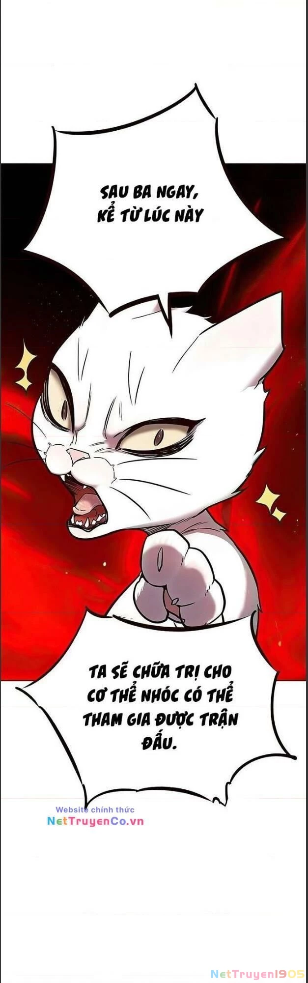 Cô Dâu Của Sói Trắng Chapter 156 - 21