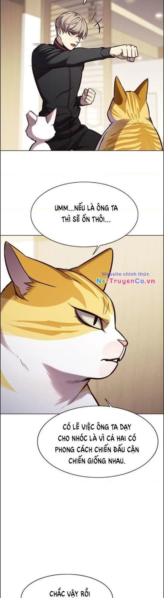 Cô Dâu Của Sói Trắng Chapter 157 - 29