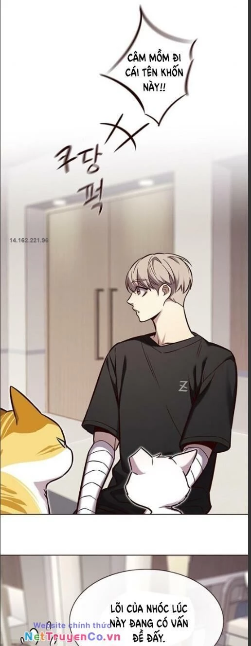 Cô Dâu Của Sói Trắng Chapter 160 - 15