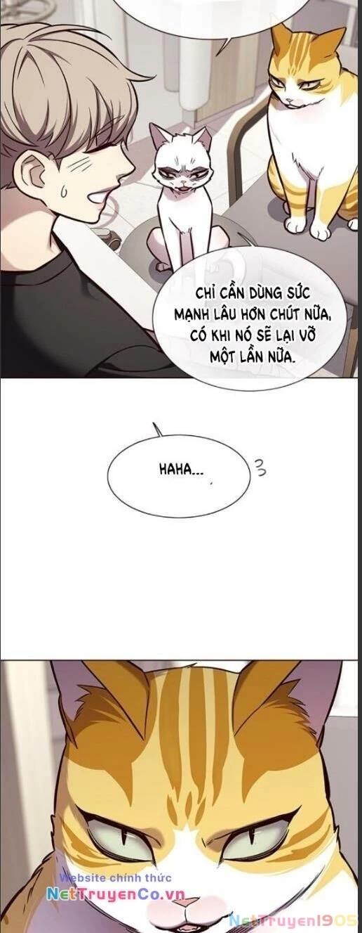 Cô Dâu Của Sói Trắng Chapter 160 - 16