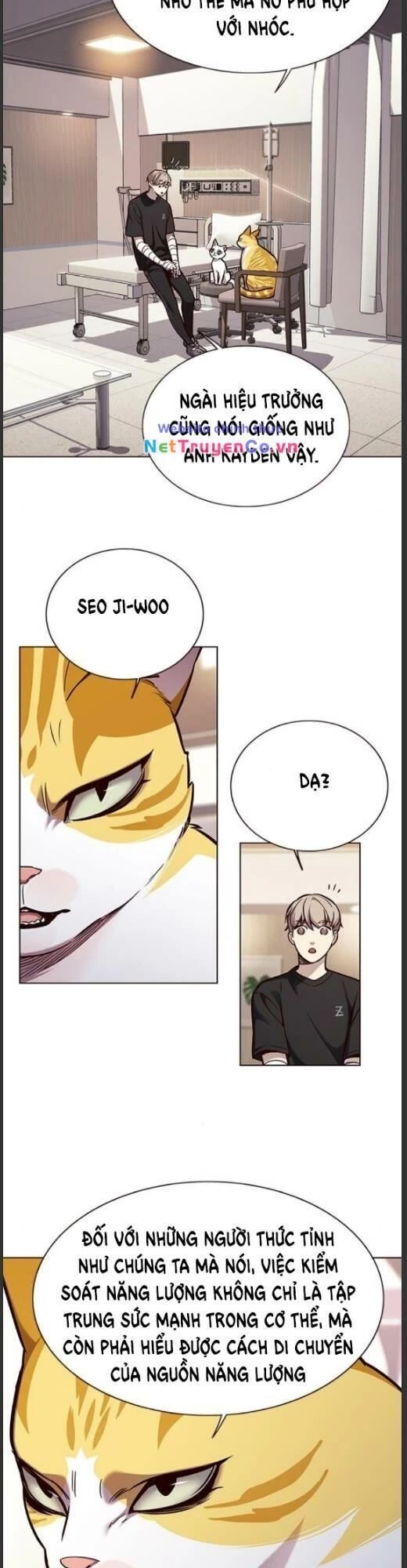 Cô Dâu Của Sói Trắng Chapter 160 - 19