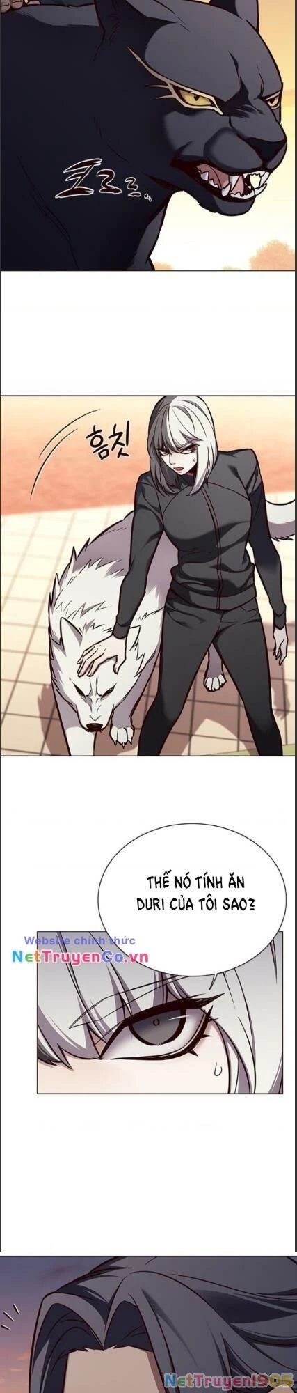 Cô Dâu Của Sói Trắng Chapter 161 - 12