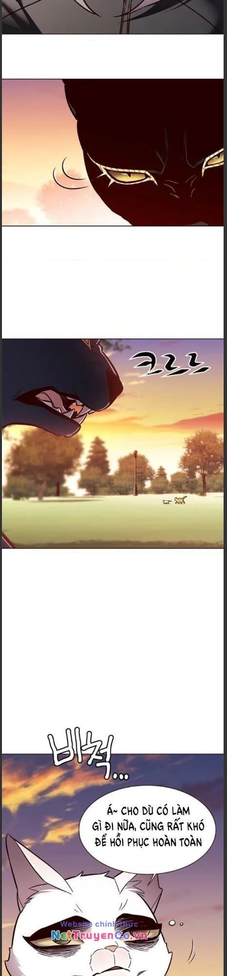 Cô Dâu Của Sói Trắng Chapter 161 - 19