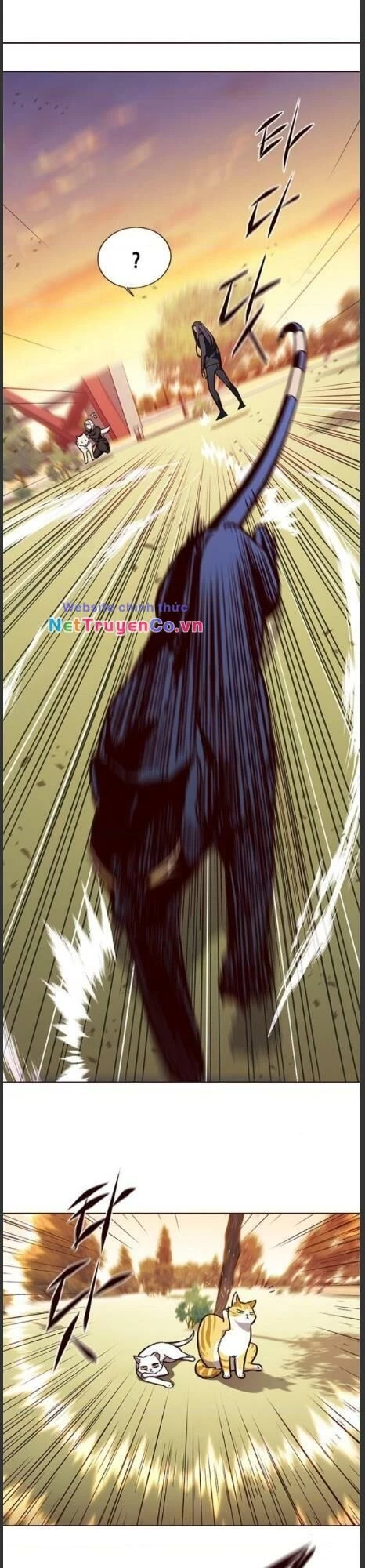 Cô Dâu Của Sói Trắng Chapter 161 - 21