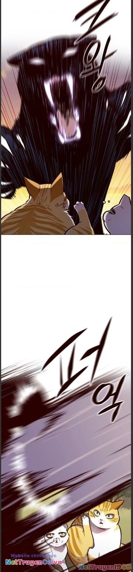 Cô Dâu Của Sói Trắng Chapter 161 - 22