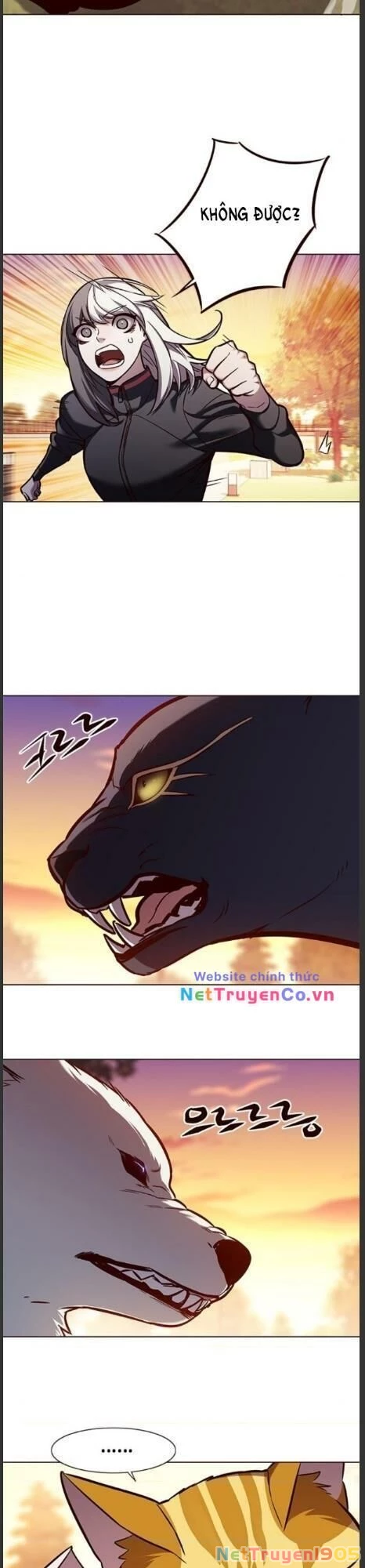 Cô Dâu Của Sói Trắng Chapter 161 - 24