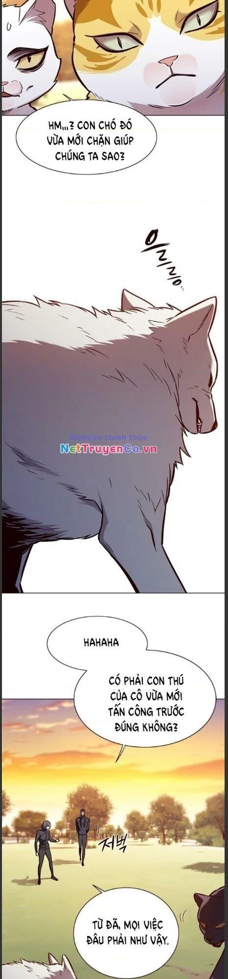 Cô Dâu Của Sói Trắng Chapter 161 - 25