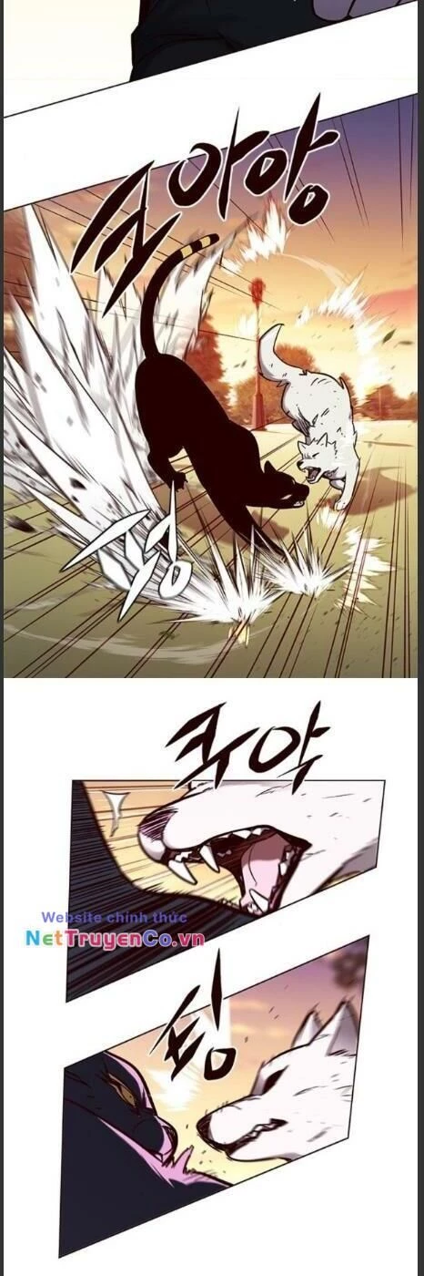 Cô Dâu Của Sói Trắng Chapter 161 - 31