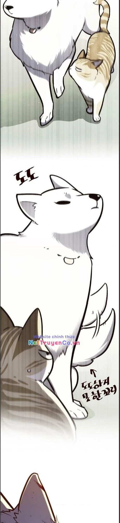 Cô Dâu Của Sói Trắng Chapter 161 - 36