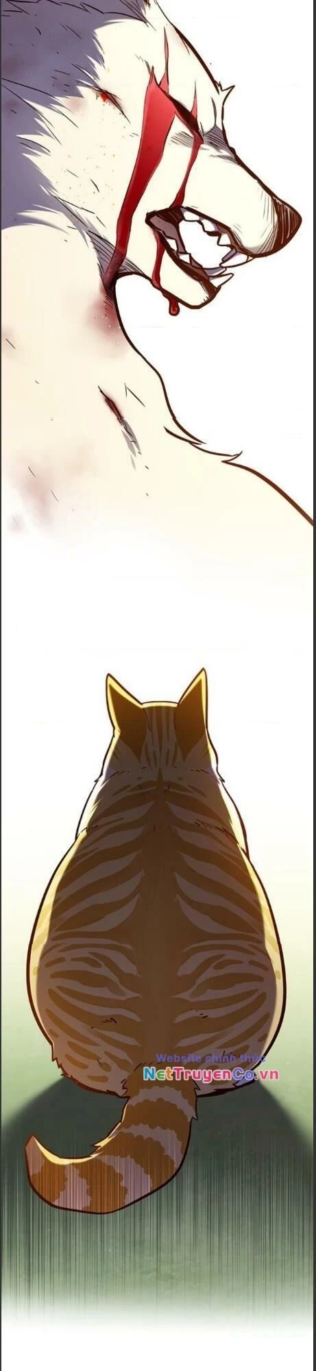 Cô Dâu Của Sói Trắng Chapter 161 - 37