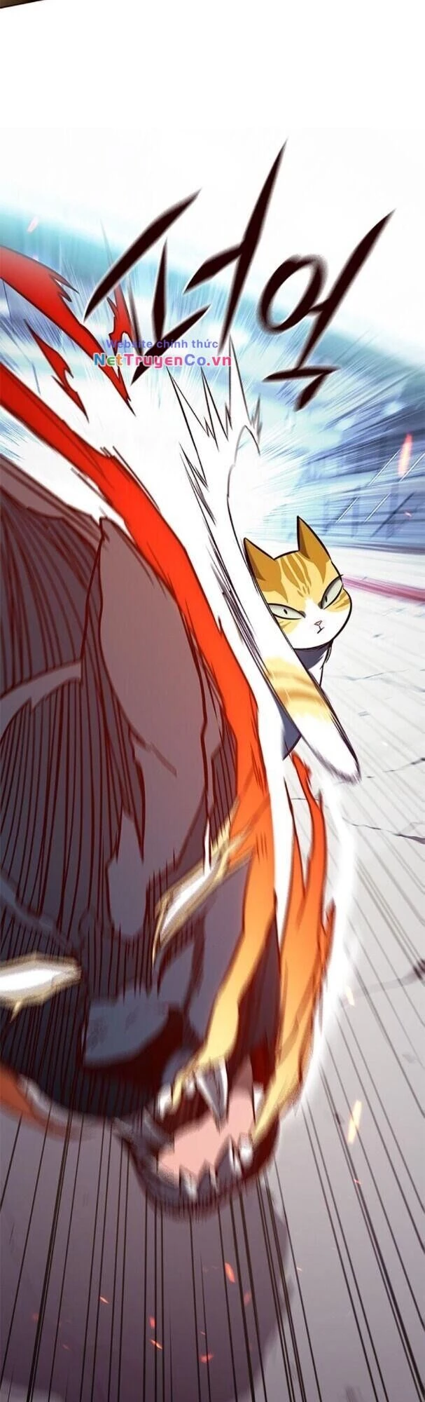 Cô Dâu Của Sói Trắng Chapter 163 - 18