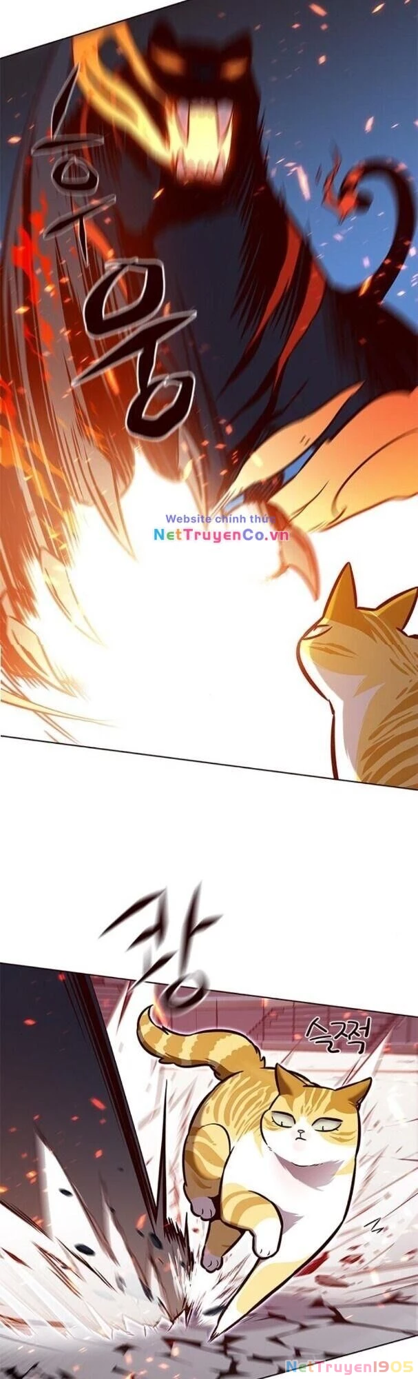 Cô Dâu Của Sói Trắng Chapter 163 - 24