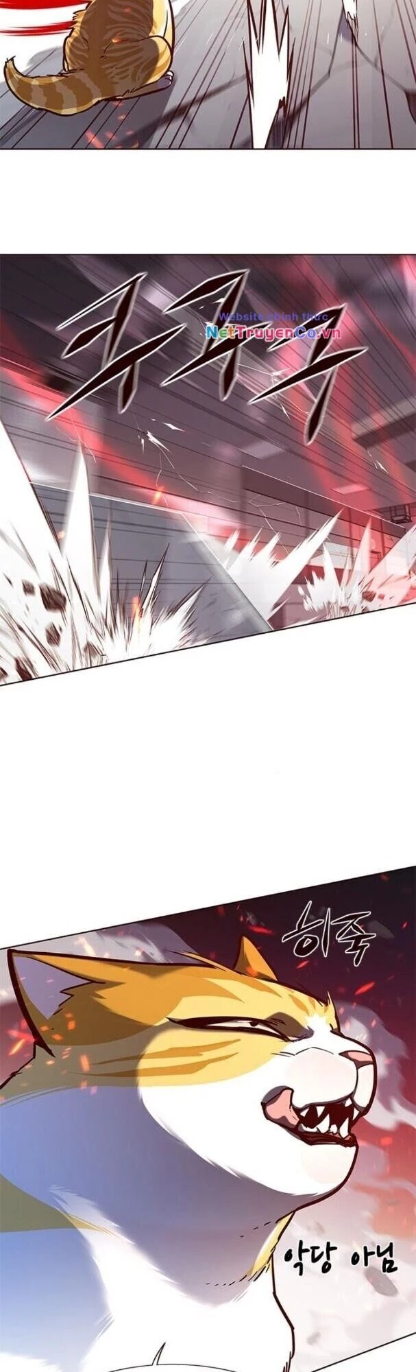 Cô Dâu Của Sói Trắng Chapter 163 - 39