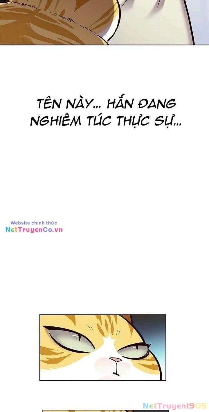 Cô Dâu Của Sói Trắng Chapter 165 - 81