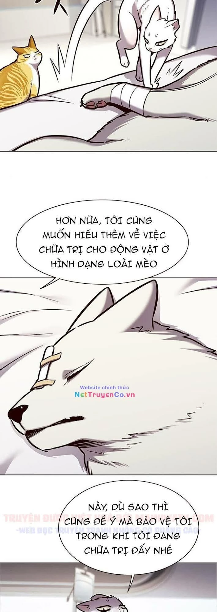 Cô Dâu Của Sói Trắng Chapter 166 - 12