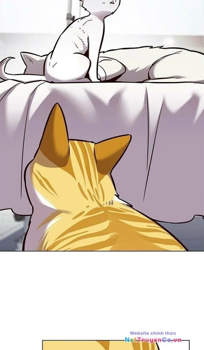 Cô Dâu Của Sói Trắng Chapter 166 - 13