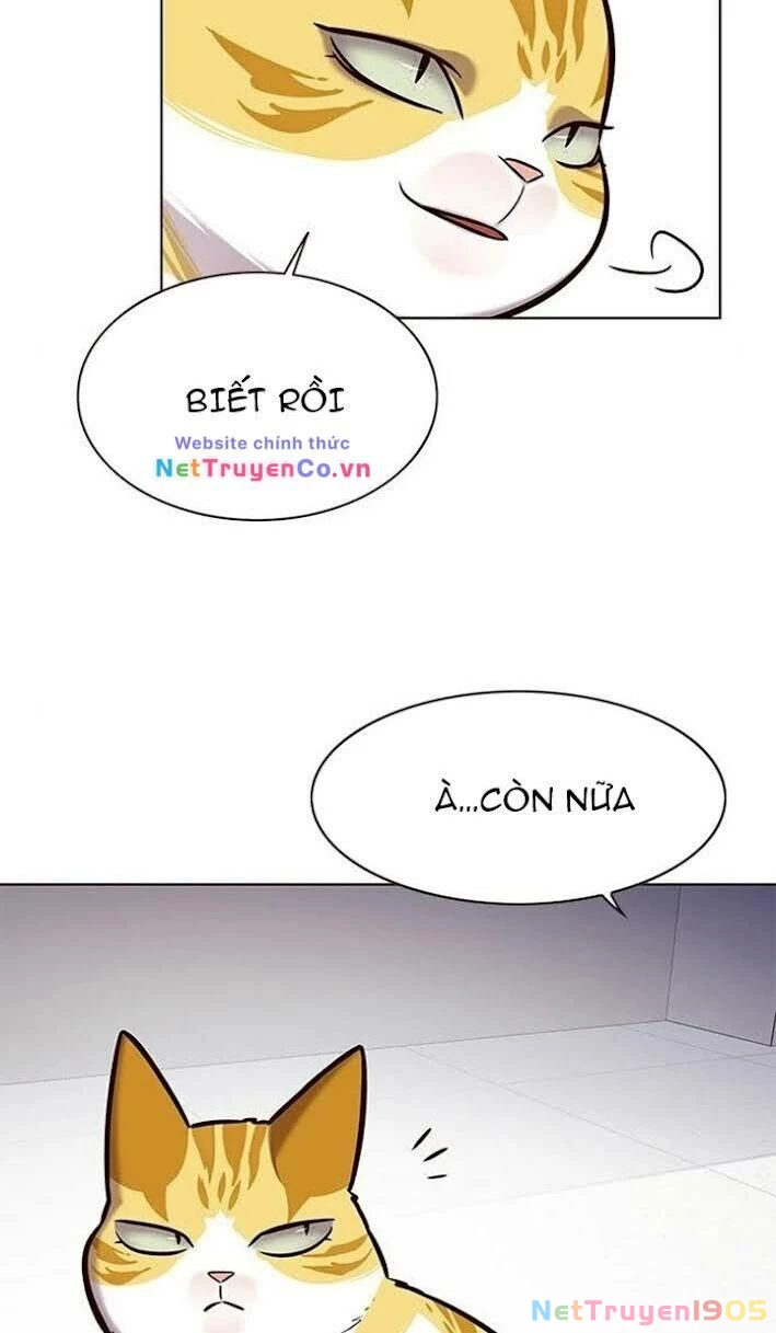 Cô Dâu Của Sói Trắng Chapter 166 - 14