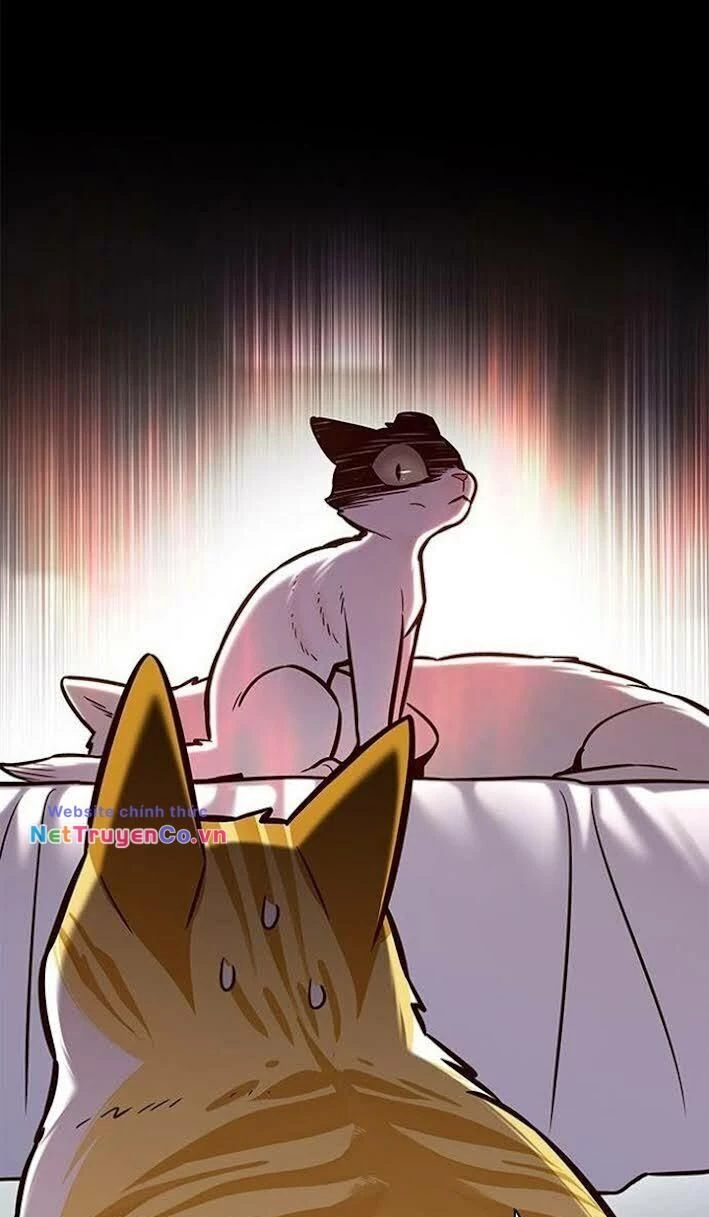 Cô Dâu Của Sói Trắng Chapter 166 - 16