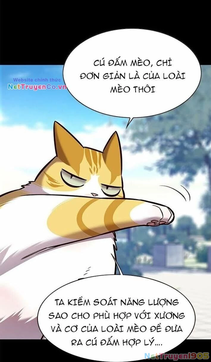 Cô Dâu Của Sói Trắng Chapter 166 - 28