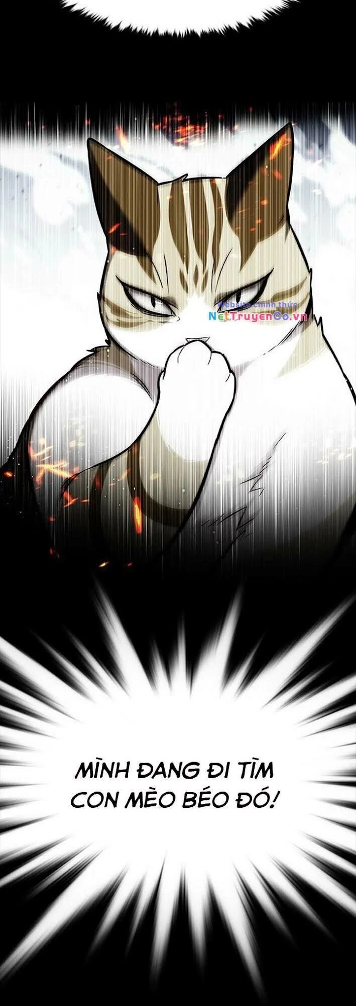 Cô Dâu Của Sói Trắng Chapter 167 - 23
