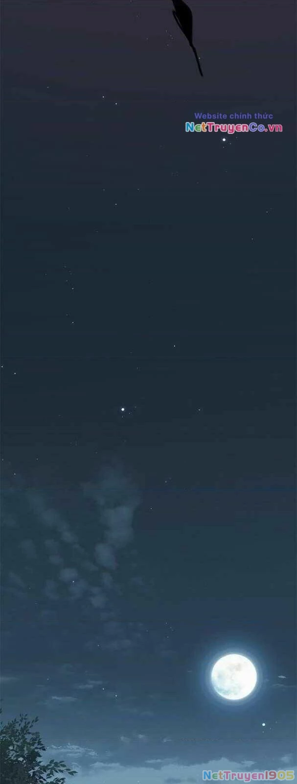 Cô Dâu Của Sói Trắng Chapter 169 - 17