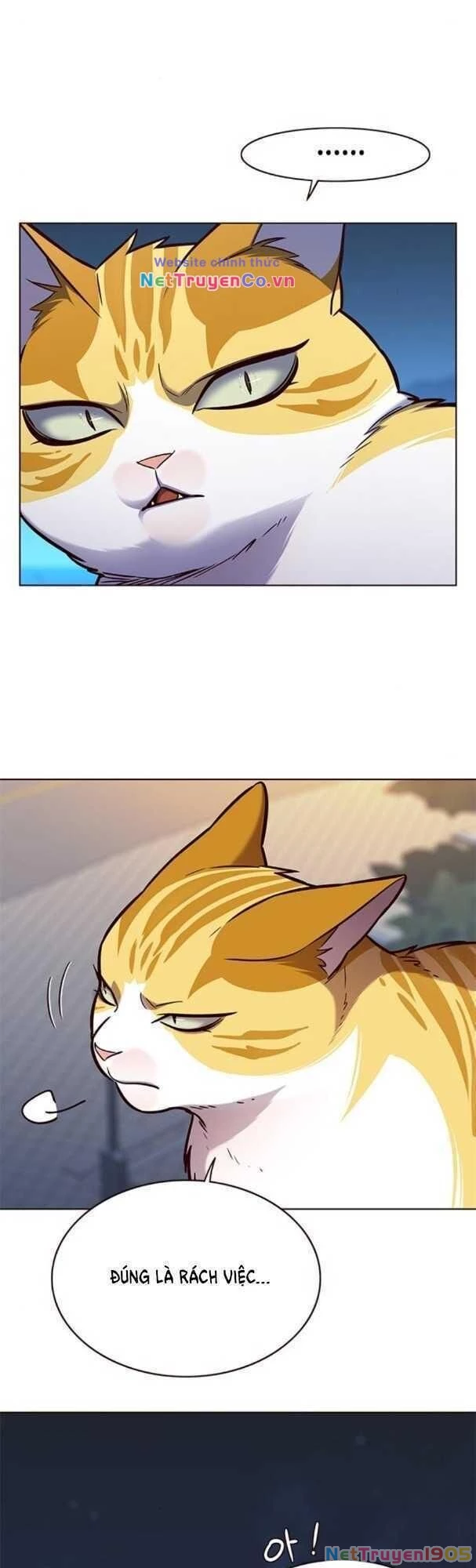 Cô Dâu Của Sói Trắng Chapter 169 - 38