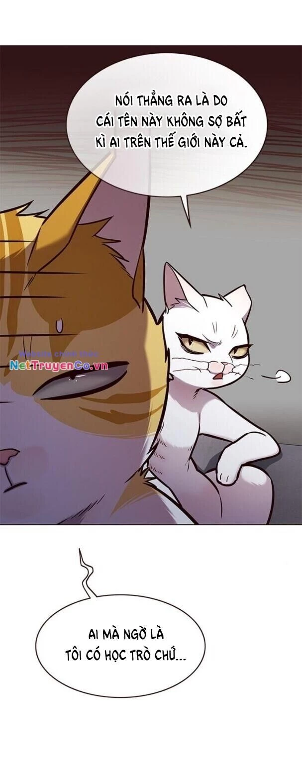 Cô Dâu Của Sói Trắng Chapter 173 - 26