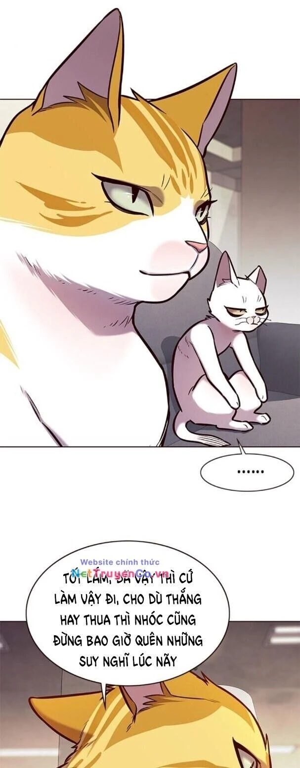 Cô Dâu Của Sói Trắng Chapter 173 - 30