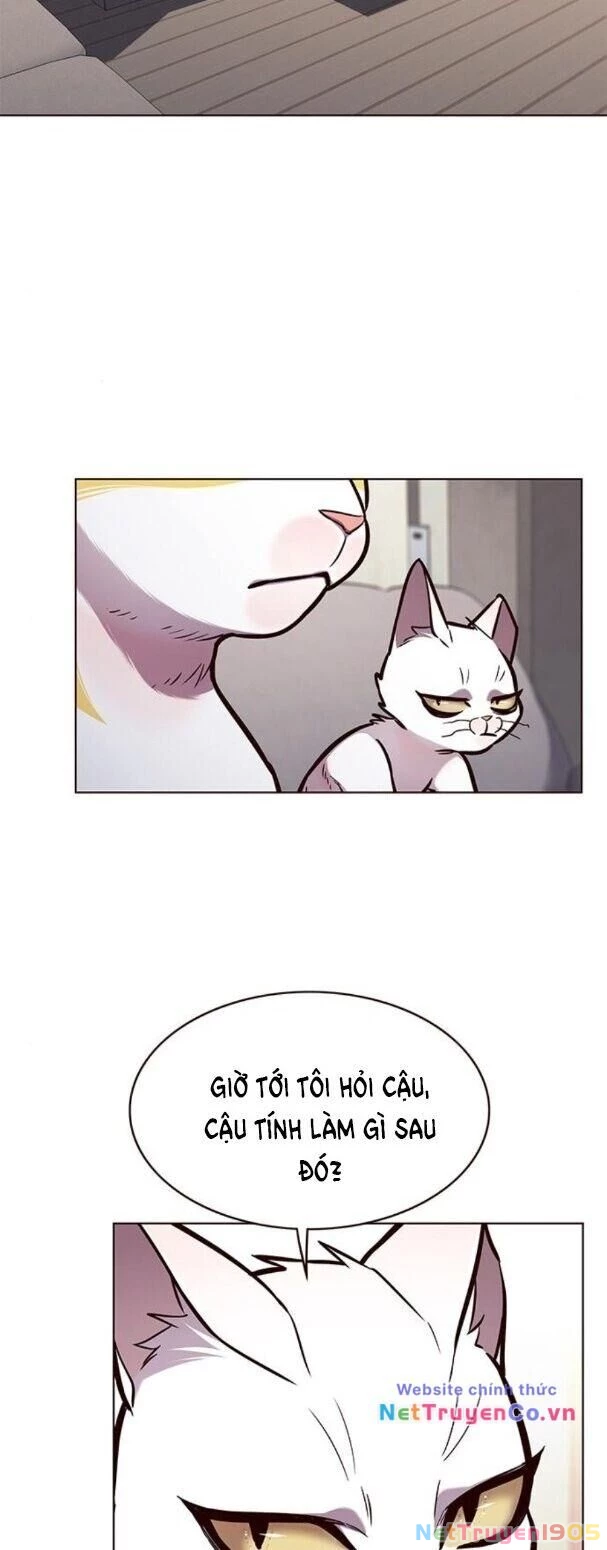 Cô Dâu Của Sói Trắng Chapter 173 - 33