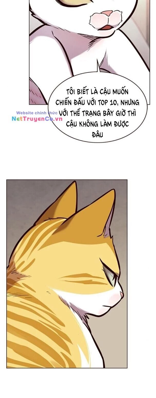 Cô Dâu Của Sói Trắng Chapter 173 - 34