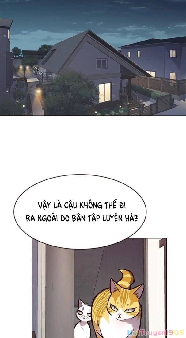 Cô Dâu Của Sói Trắng Chapter 173 - 35