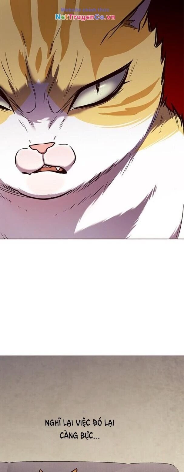 Cô Dâu Của Sói Trắng Chapter 173 - 36