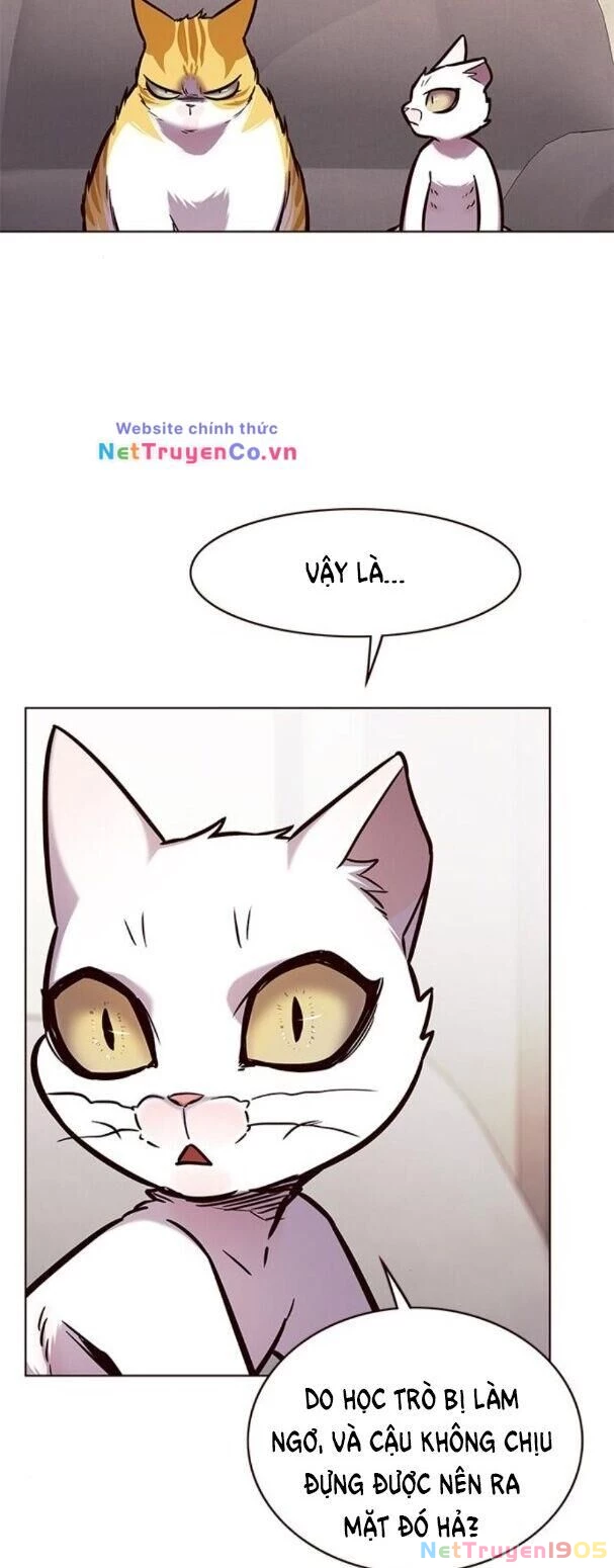 Cô Dâu Của Sói Trắng Chapter 173 - 37