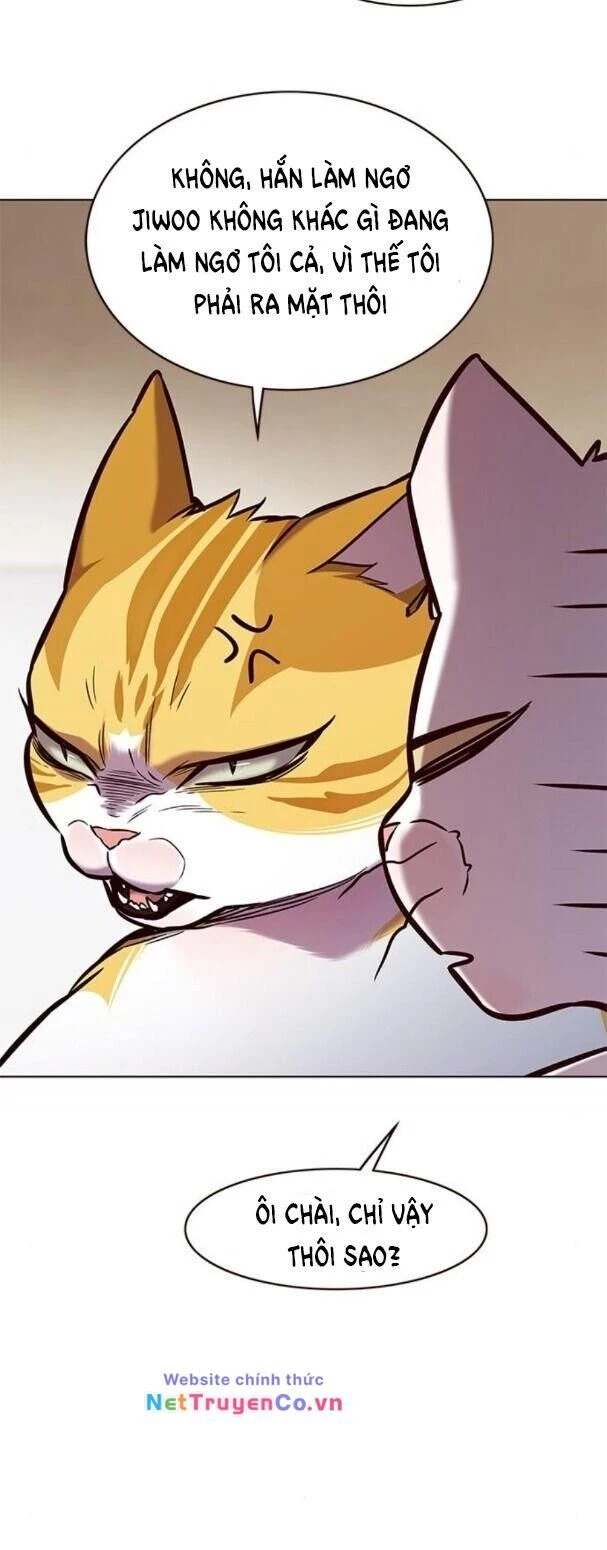 Cô Dâu Của Sói Trắng Chapter 173 - 38
