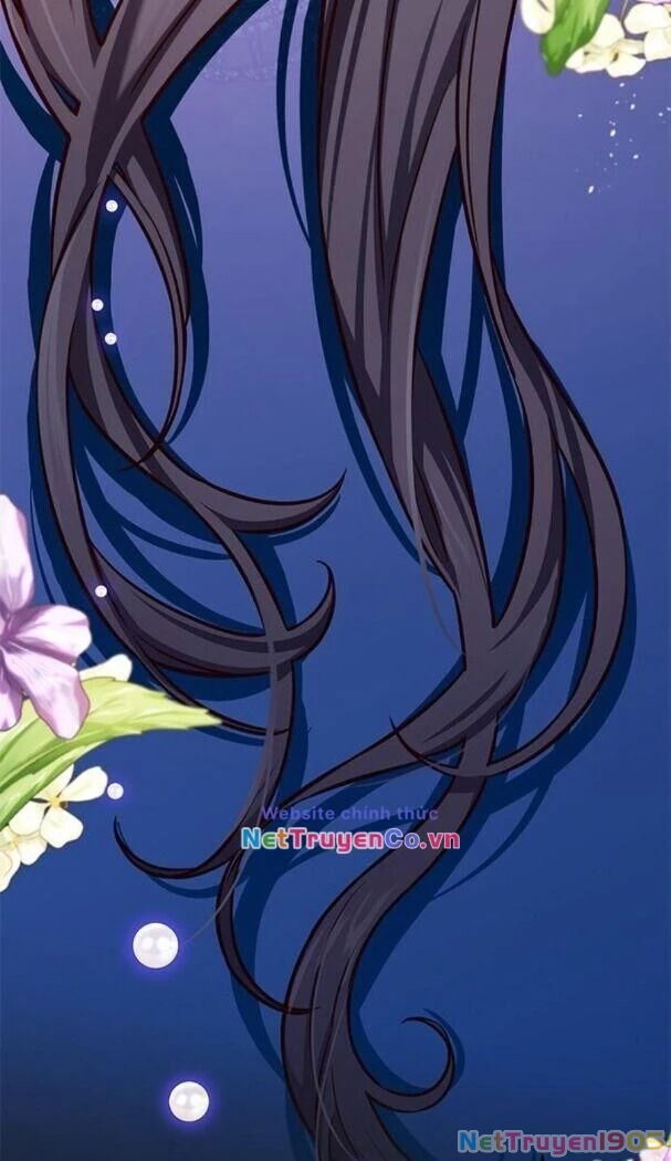 Cô Dâu Của Sói Trắng Chapter 174 - 29