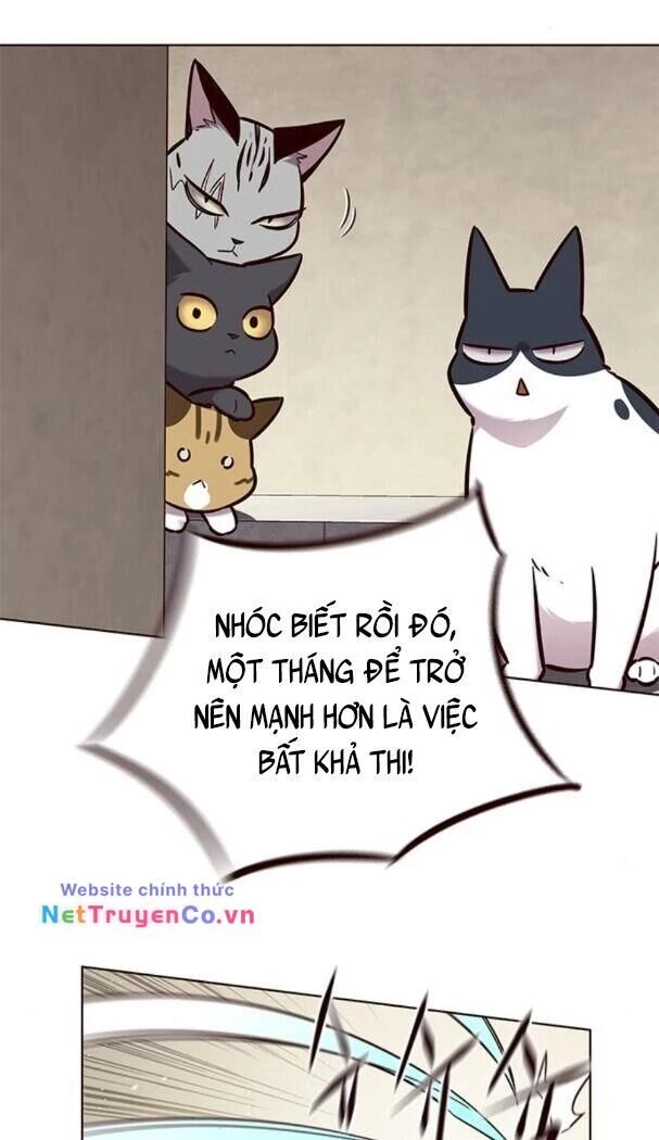 Cô Dâu Của Sói Trắng Chapter 174 - 32