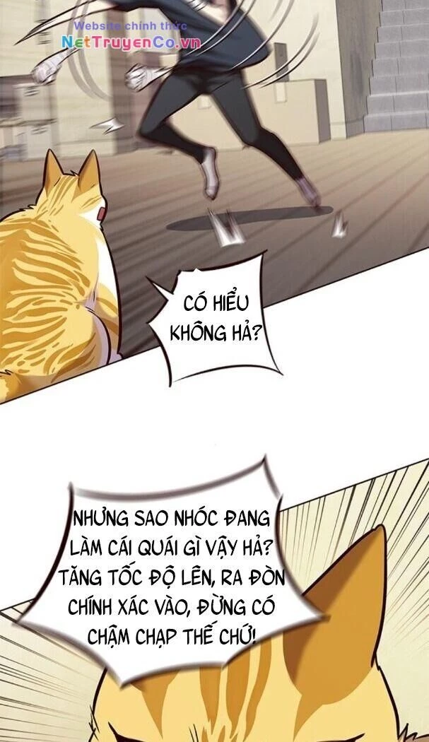 Cô Dâu Của Sói Trắng Chapter 174 - 35