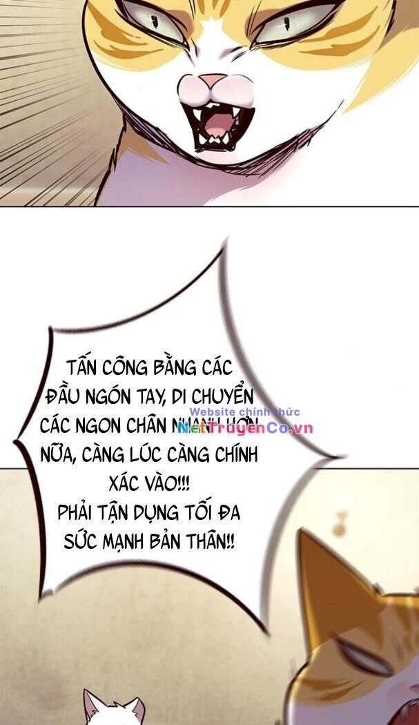 Cô Dâu Của Sói Trắng Chapter 174 - 36