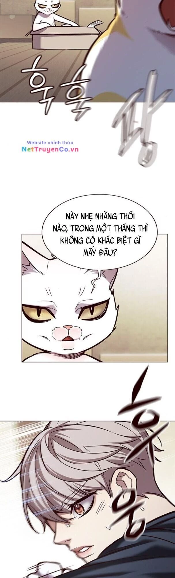Cô Dâu Của Sói Trắng Chapter 174 - 37