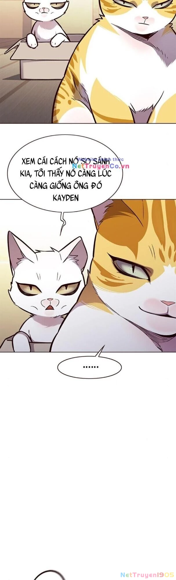 Cô Dâu Của Sói Trắng Chapter 174 - 40