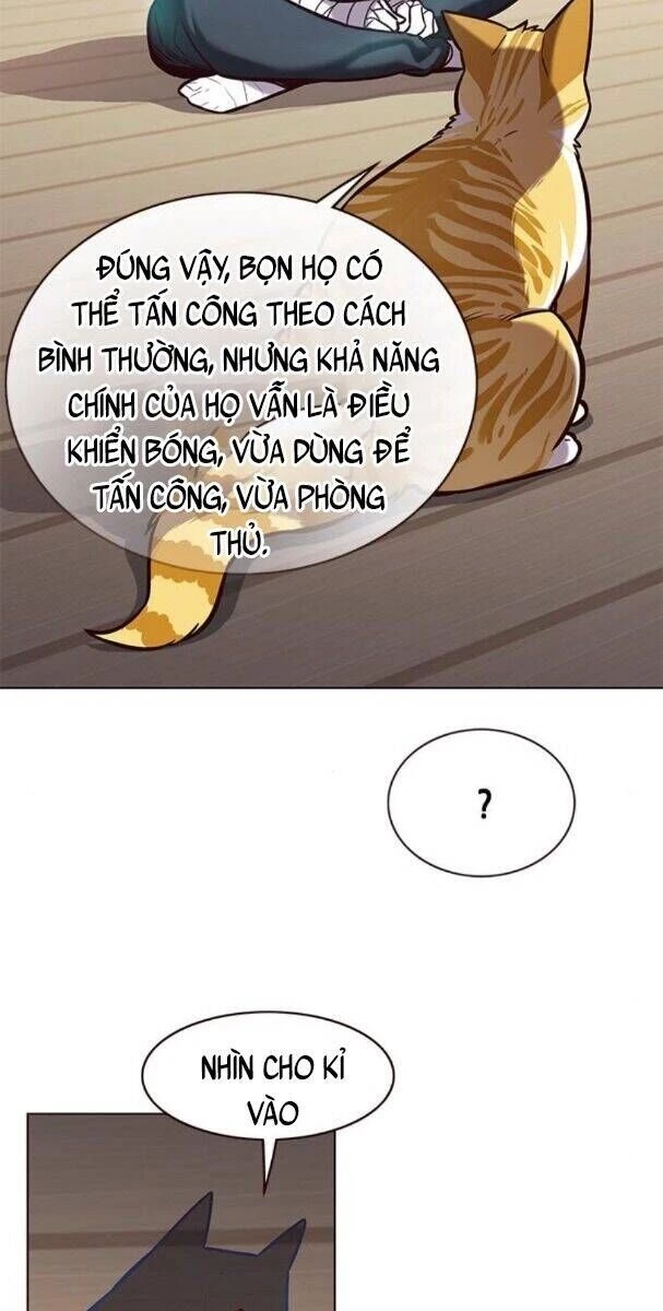 Cô Dâu Của Sói Trắng Chapter 174 - 43