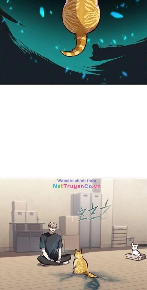 Cô Dâu Của Sói Trắng Chapter 174 - 51