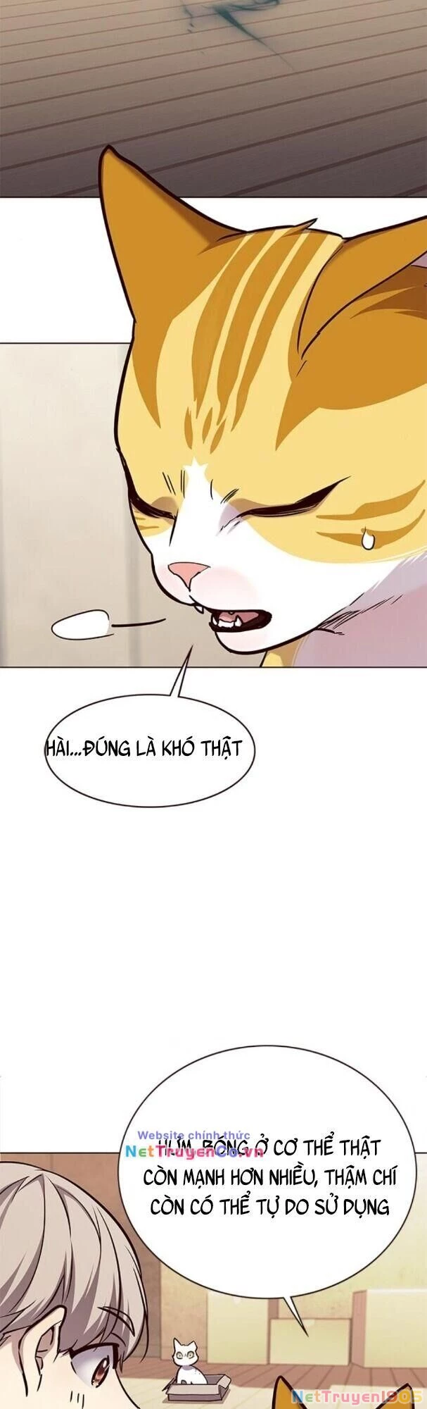 Cô Dâu Của Sói Trắng Chapter 174 - 52