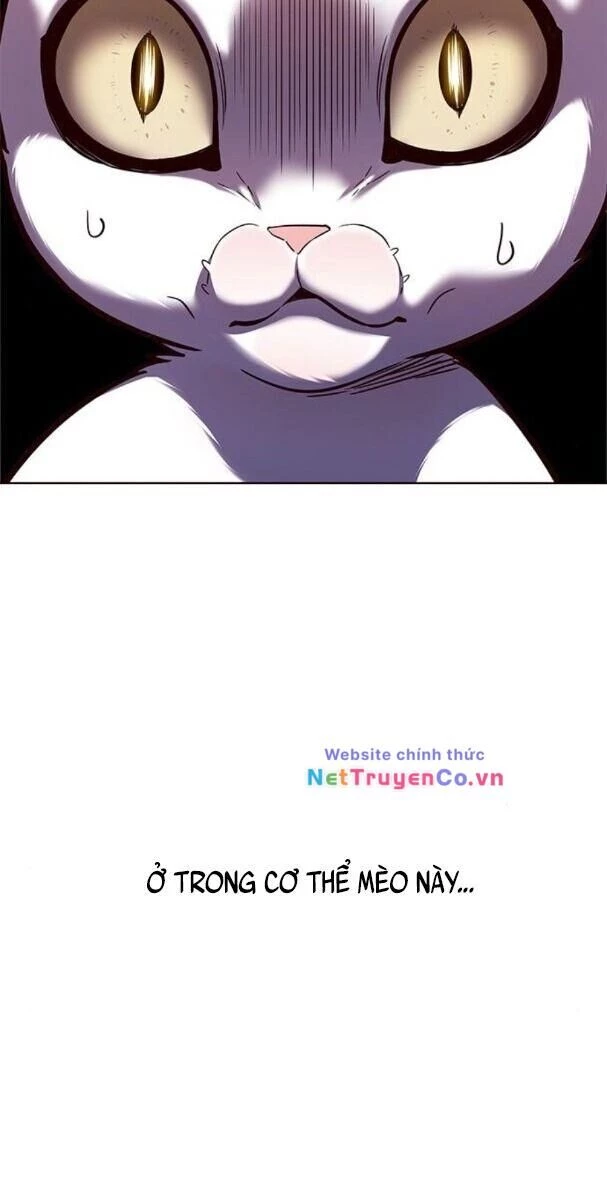 Cô Dâu Của Sói Trắng Chapter 174 - 54