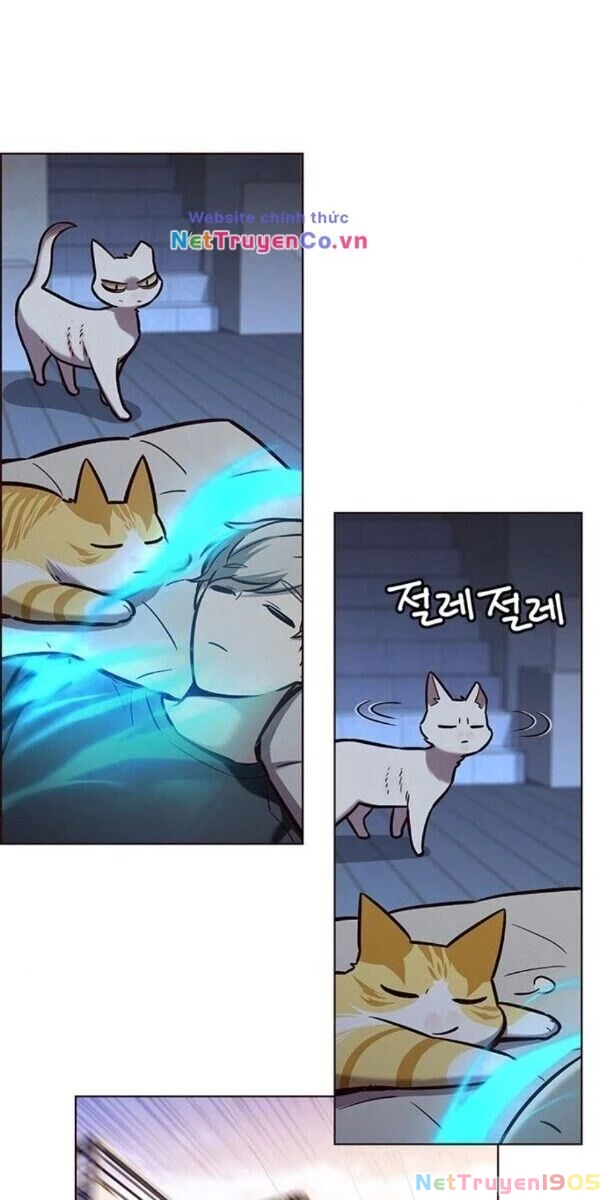 Cô Dâu Của Sói Trắng Chapter 174 - 56